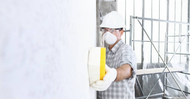 Best Post-Construction Mold Inspection  in Bartonville, TX